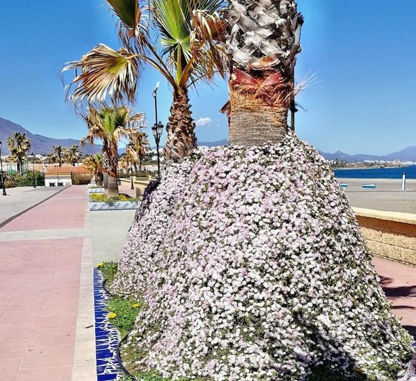 28 Mikonos Playa In Puerto De La Duquesa 2 Bed 2 Bath Apartment Ideally Located To The Beach & Marina Castillo de Sabinillas Exteriér fotografie